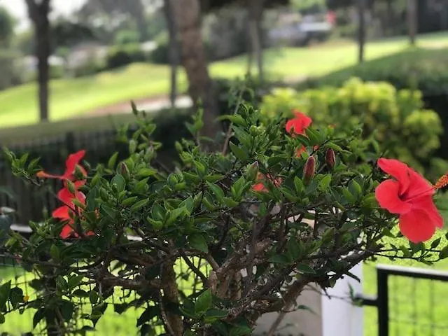Townhouse Marbella ,Cabopino Beach Semesterbostad